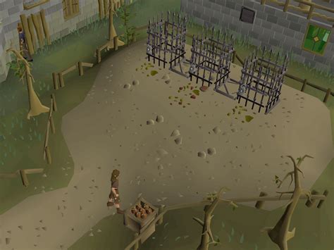 osrs rotten tomato|rotten tomatoes reviews.